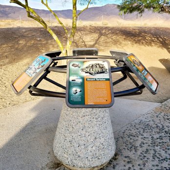 Cactus City Rest Area - Information about local wildlife. - Rest Stops Near Me - Chuckwalla, California