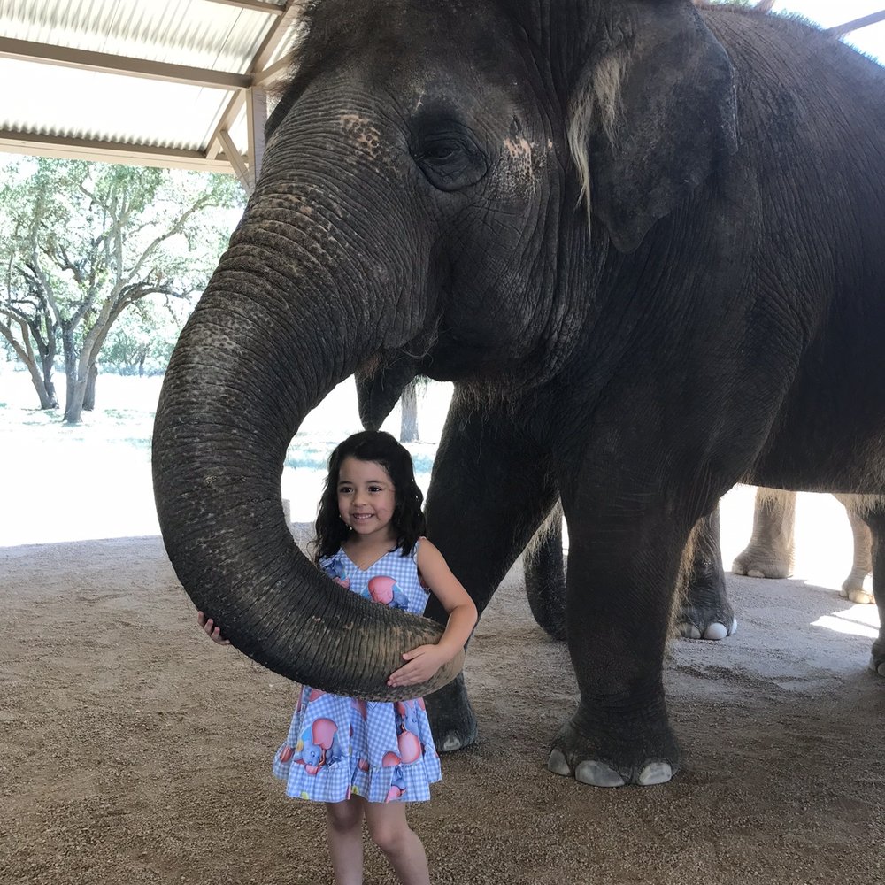 The Preserve - Zoos Near Me - Fredericksburg, Texas