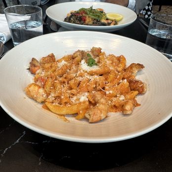 OLIVIA - TORTIGLIONI - Italian Near Me - Tampa, Florida