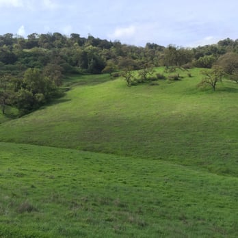 Coyote Valley Open Space Preserve - Beautiful Hobbit like landscape on this hike trail. - Hiking Near Me - Morgan Hill, California Coyote Valley Open Space Preserve - Beautiful Hobbit like landscape on this hike trail. - Hiking Near Me - Morgan Hill, California