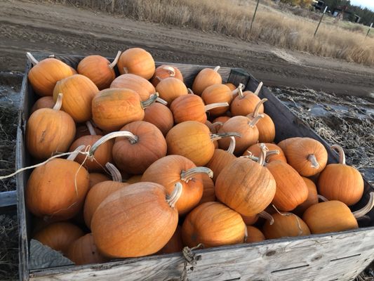 Well Rooted Farms by null