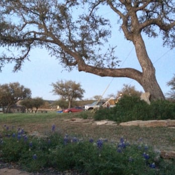 Painted Sky Inn - Lovely landscape. Bluebonnets for the spring. Everything is impeccably  landscaped though! - Hotels Near Me - Burnet, Texas
