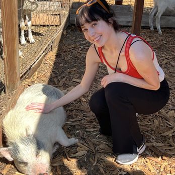 Kindred Spirits Care Farm - Animal Shelters Near Me - Chatsworth, California Kindred Spirits Care Farm - Animal Shelters Near Me - Chatsworth, California