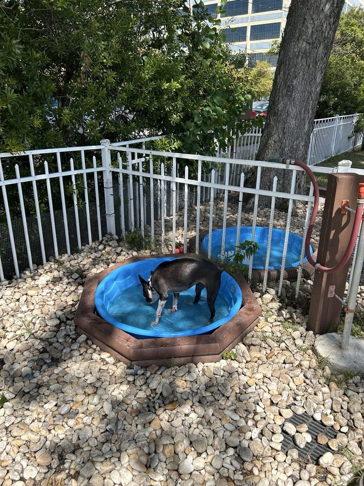 Peta's Bea Arthur Dog Park