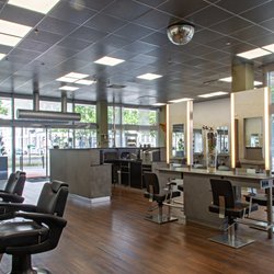 HAARE:mittmann