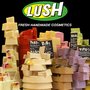Photo of Lush Italia