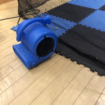 Pups of War Arena - It gets humid here - Kids Activities Near Me - Aiea, Hawaii