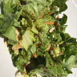 Salad Salad