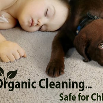 Fort Totten Carpet Cleaning DC - Carpet Cleaning Near Me - Washington, DC, District of Columbia Fort Totten Carpet Cleaning DC - Carpet Cleaning Near Me - Washington, DC, District of Columbia