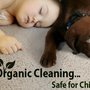 Fort Totten Carpet Cleaning DC