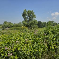 Buffalo Creek Forest Preserve