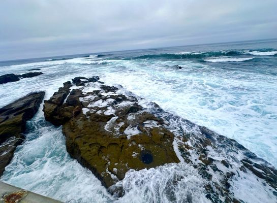 Children's Pool La Jolla by null