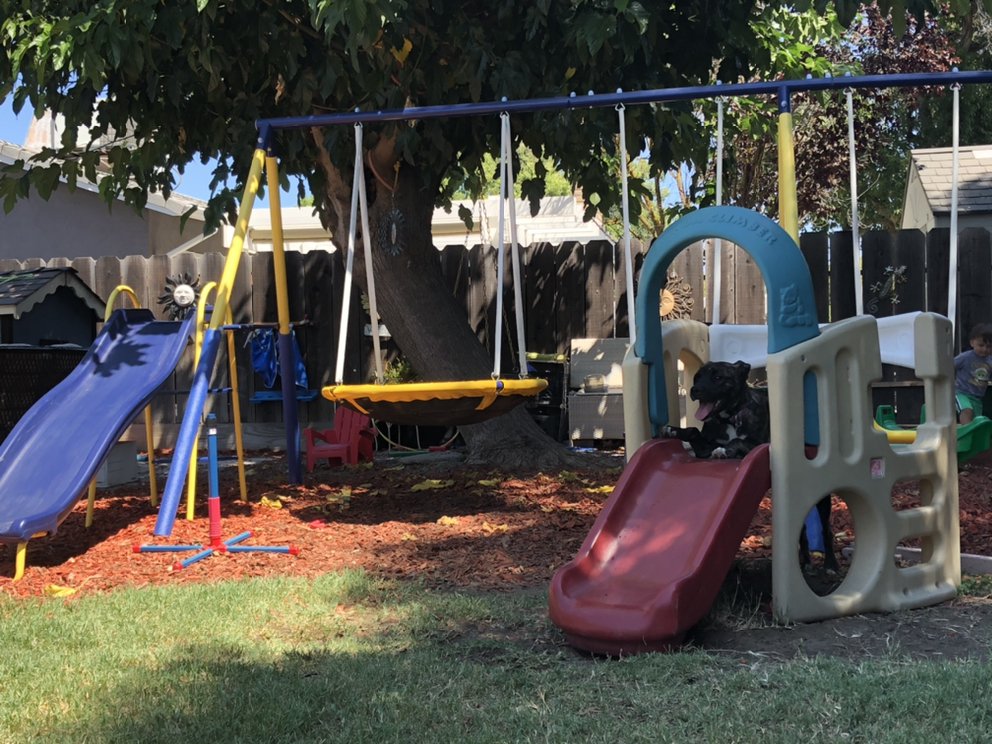 KOA DAYCARE 17 Photos Child Care & Day Care 1216 Nana Pl, Manteca