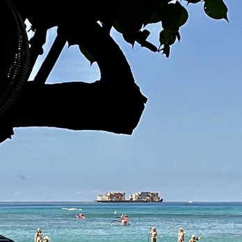 Hau Tree - View from Under the Tree - Seafood Near Me - Honolulu, Hawaii Hau Tree - View from Under the Tree - Seafood Near Me - Honolulu, Hawaii