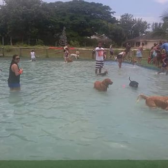 Clube do Totó - Até os humanos entram na piscina - Sports Clubs Near Me - Rio de Janeiro, RJ