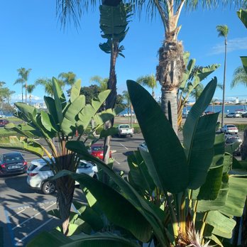 Humphreys Half Moon Inn - Lounging - San Diego, CA