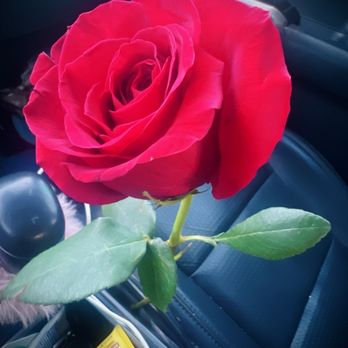 Express Oil Change & Tire Engineers - They gave me a rose for coming in to get my oil changed so sweet! - Auto Repair Near Me - Peoria, Arizona Express Oil Change & Tire Engineers - They gave me a rose for coming in to get my oil changed so sweet! - Auto Repair Near Me - Peoria, Arizona