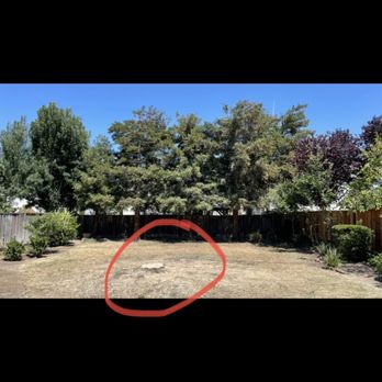Robert's Tree Care - After the tree was cut down - Tree Services Near Me - Stockton, California