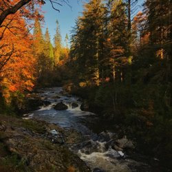 Snowdonia National Park Authority - Autumn Forest