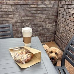 Lyric Coffee