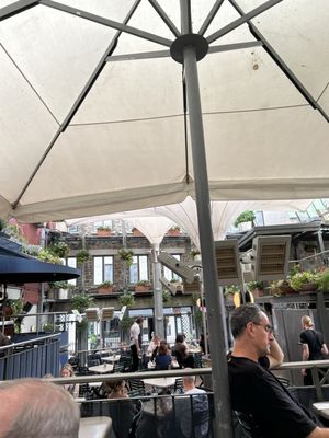 Jardin Nelson by null