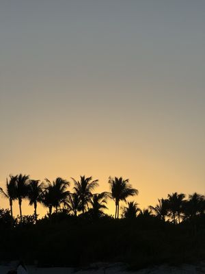 Bill Baggs Cape Florida State Park by null