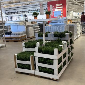 IKEA - Furniture Stores Near Me - Phoenix, Arizona IKEA - Furniture Stores Near Me - Phoenix, Arizona