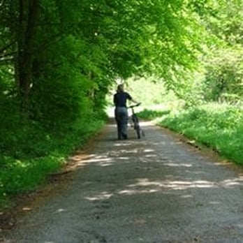 Porthkerry Country Park - http://www.valeofglamorgan.gov.uk/living/environment/countryside/porthkerry_country_park/areas_of_the_park/viaduct_wood.aspx - Parks Near Me - Barry, VGL