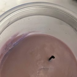 Pure Integrity Soy Candles - Lilac Candle with less than 1/5 left to burn.