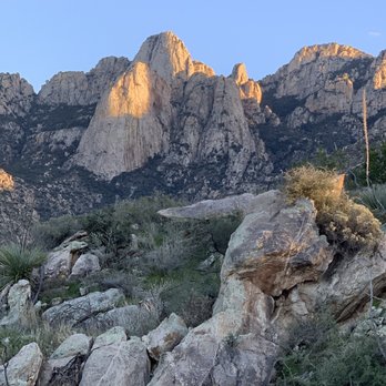 Catalina State Park - Catalina State Park - Parks Near Me - Tucson, Arizona Catalina State Park - Catalina State Park - Parks Near Me - Tucson, Arizona
