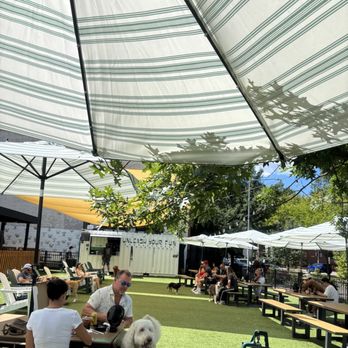 Dog Daze - The overall space. - Social Clubs Near Me - Washington, DC, District of Columbia
