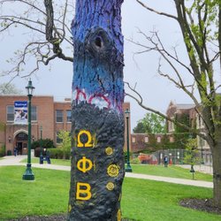 SUNY Geneseo - The Painted Tree