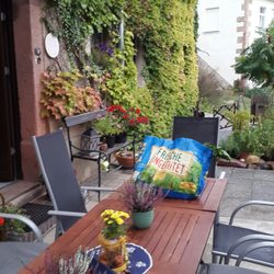 Burggasse 10