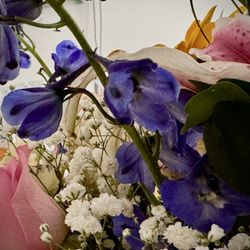 Bougie Blooms - Cheering me up while I am in the hospital!