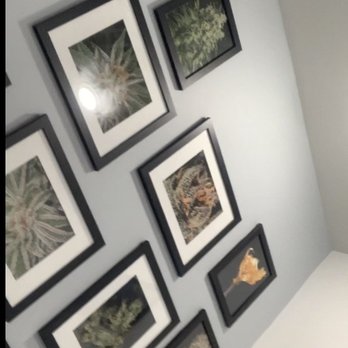 Star Buds - Baltimore - Cannabis Clinics Near Me - Baltimore, Maryland