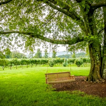 Spout Spring Estates Winery and Vineyard - Wineries Near Me - Blaine, Tennessee