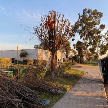 Razo's Landscaping & Maintenance - Once you are a client you take advantage of our other services at a discount rate! - Landscaping Near Me Razo's Landscaping & Maintenance - Once you are a client you take advantage of our other services at a discount rate! - Landscaping Near Me