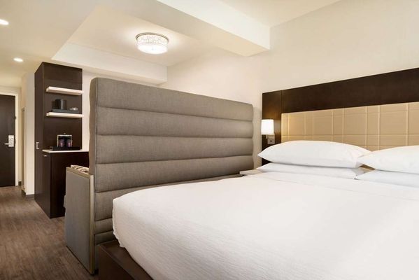 Embassy Suites by Hilton New York Manhattan Times Square by null