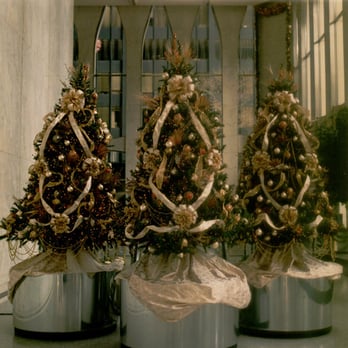 Greenpoint Trees - Christmas Trees Near Me - Brooklyn, New York