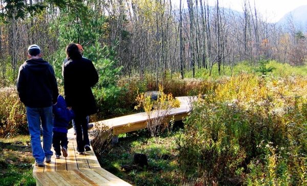 Mountain Top Arboretum by null