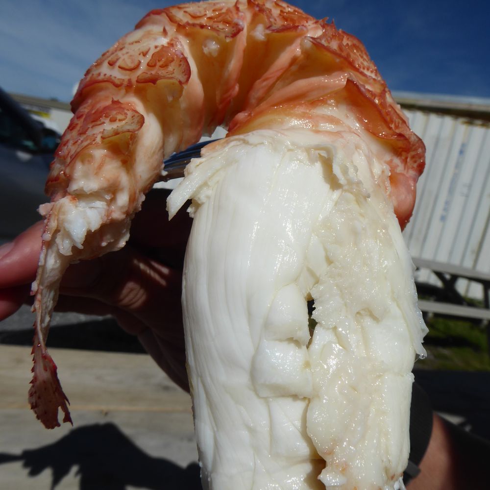Nin's Bin - Food Trucks Near Me - Kaikoura, CAN