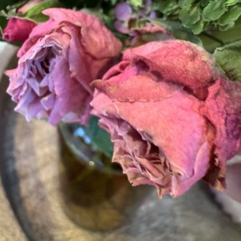 Good Good Good - Flowers & Gifts Near Me - Grand Rapids, Michigan Good Good Good - Flowers & Gifts Near Me - Grand Rapids, Michigan