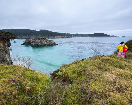 Mendocino Headlands State Park by null
