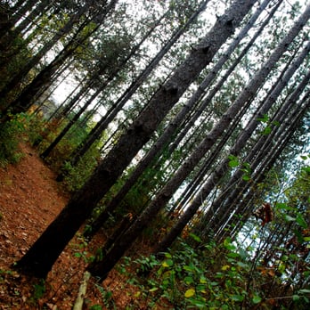 Kettle Moraine State Forest - Parks Near Me - Eagle, Wisconsin