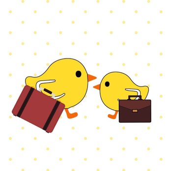 The Organizer Chicks - Home Organization Near Me The Organizer Chicks - Home Organization Near Me