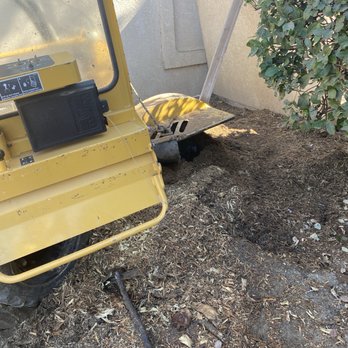 Sierra Tree Service - Tree Services Near Me - Bakersfield, California