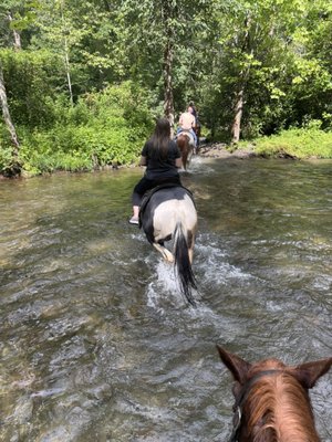 Smokemont Riding Stables by null