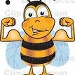 Bee Workers Cleaning Services - Bee Workers Cleaning Services!