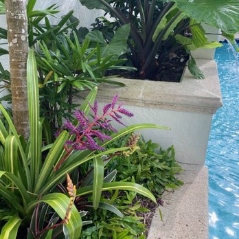 Knoll Landscape Design - Landscaping Near Me