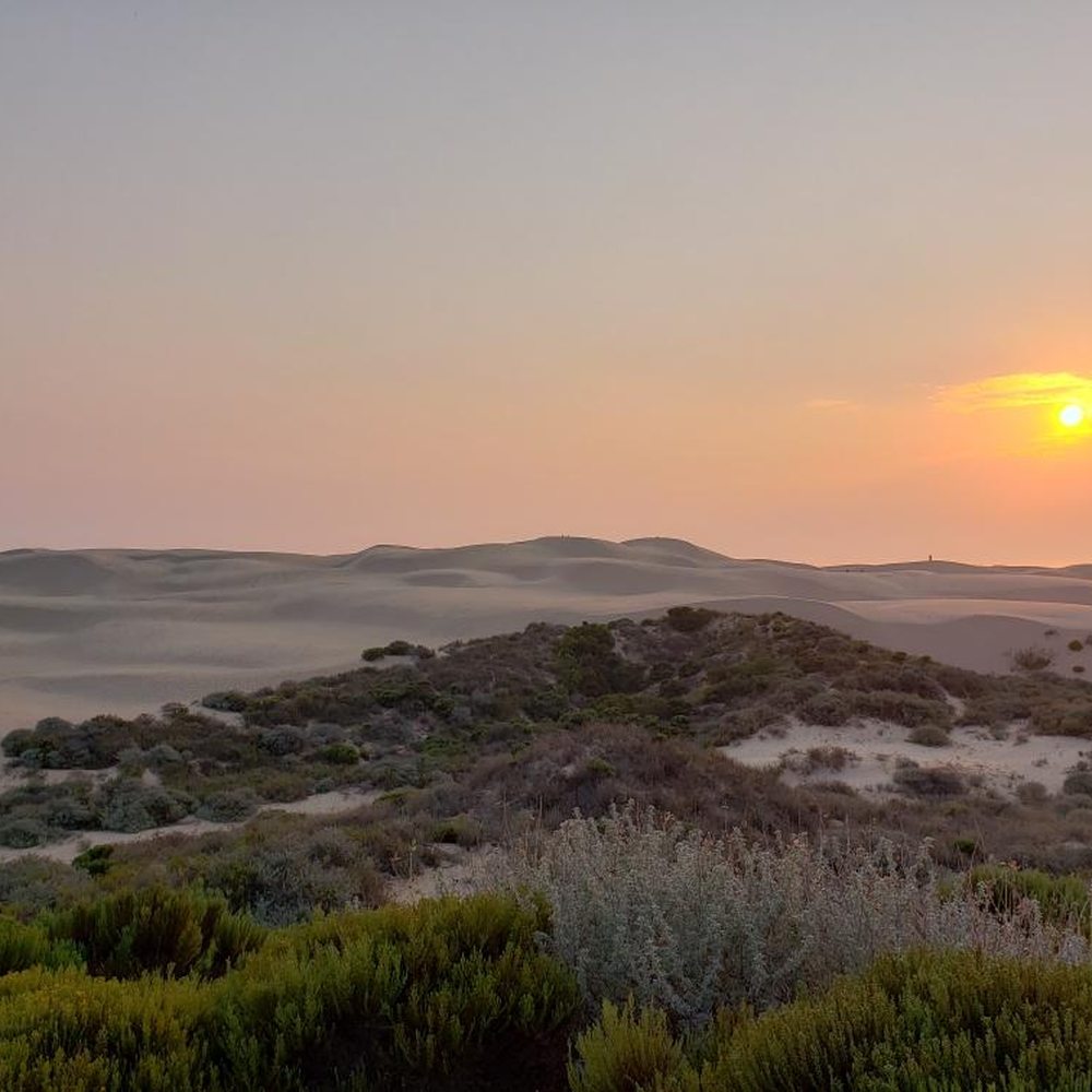 Pacific Dunes Ranch Campground - RV Parks Near Me - Oceano, California Pacific Dunes Ranch Campground - RV Parks Near Me - Oceano, California